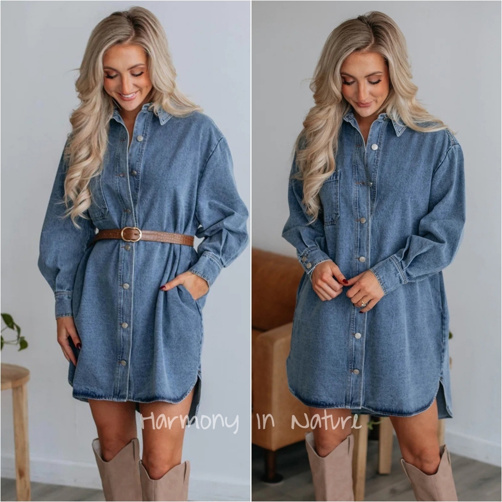 Denim Dreamscape Buttoned Dress